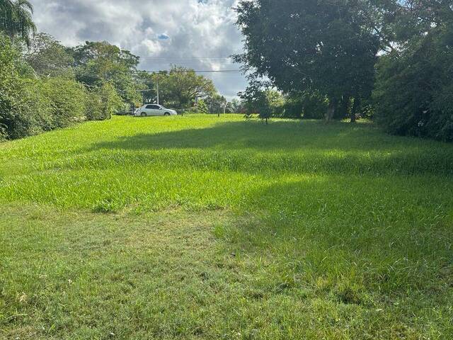 #1045 - Terreno em condomínio para Venda em Gravataí - RS - 3